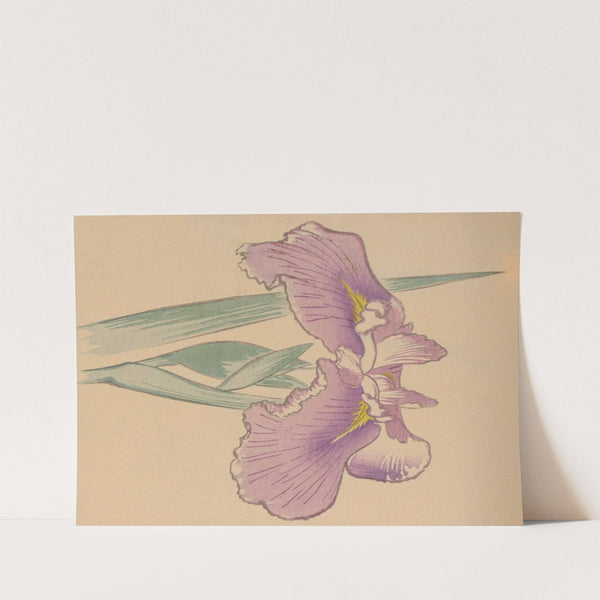 Hōgajō, Pl.08 by Jirō Takeuchi