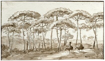 Hoge bomen in Spaans landschap