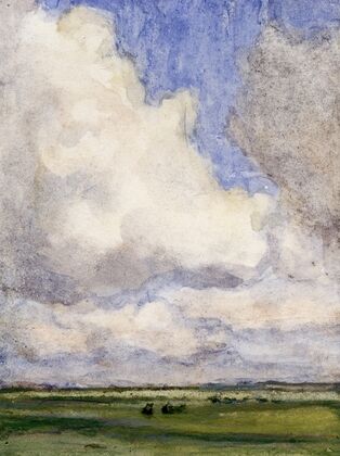 Hoge wolkenlucht boven weilanden