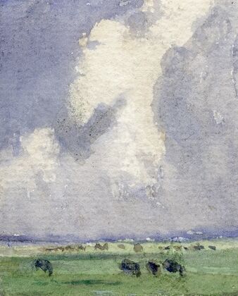 Hoge wolkenlucht boven weilanden
