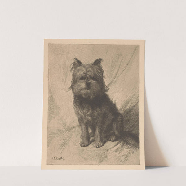 Hollandse smoushond by Heinrich M. Krabbé