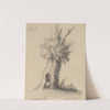 Hollow Tree by Mary Delany