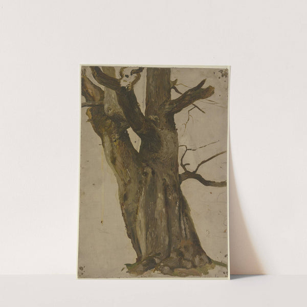 Hollow tree by Jakob Becker