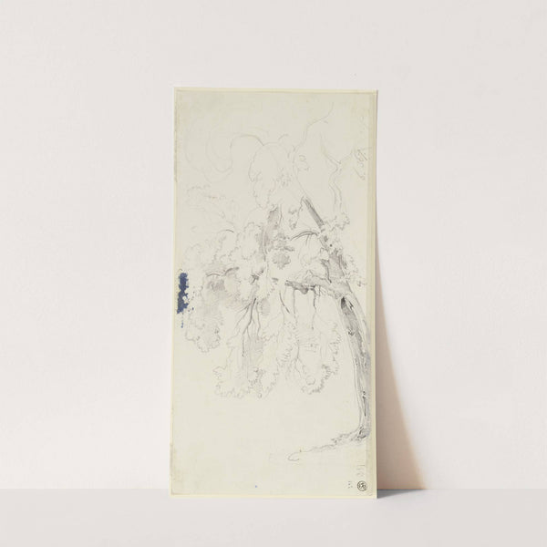 Hollowed-out tree by Ernst Fries