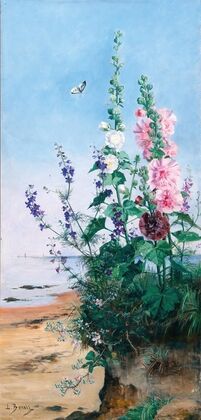 Hollyhocks in the South of France