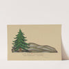 Holy Night: Act Two (Pine Tree in Rocky Hills) (1934-1943) by Wood MacLane