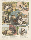 Honden en katten (1875-1919)
