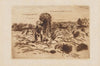Hooister (1893)