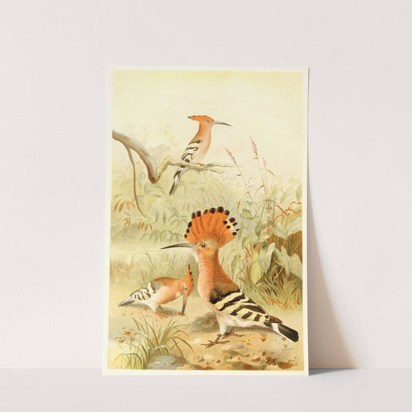 Hoopoes (1893-1896) by Pierre Jacques Smit