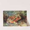 Horned Toad Of South America by Robert Bruce Horsfall