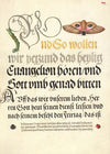 Horntail Caterpillar, Eyed Hawk-Moth, Beetle, Two-Spot Ladybird (1561–1596)