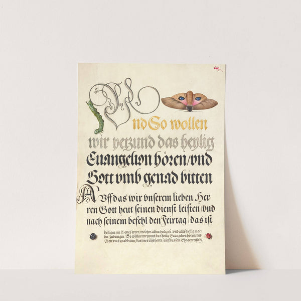 Horntail Caterpillar, Eyed Hawk-Moth, Beetle, Two-Spot Ladybird (1561–1596) by Joris Hoefnagel