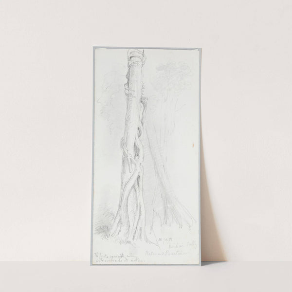 Horokiwi Valley; Rata and Pukatea by Nicholas Chevalier