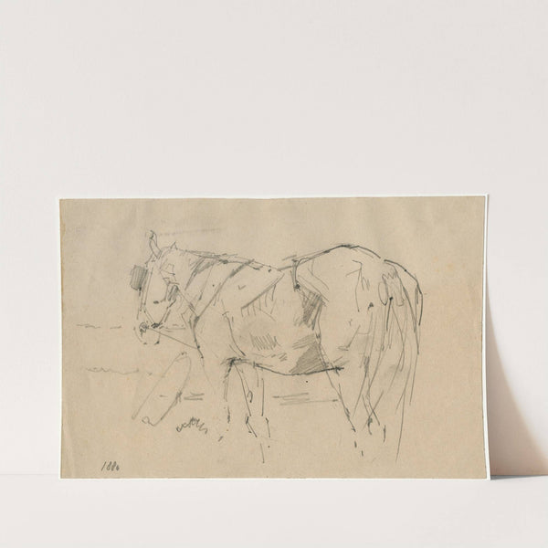 Horse (1886) by Floris Verster