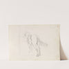 Horse (1843 or 1844) by Adolph Tidemand