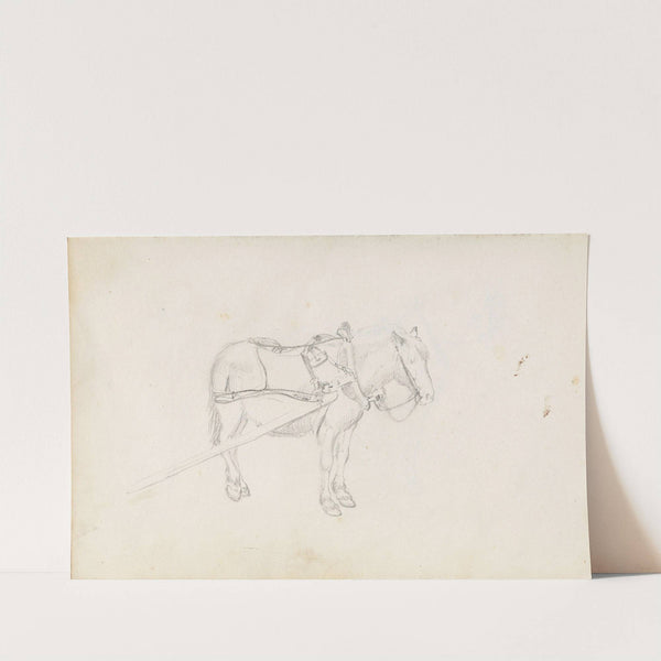 Horse (Between 1844 and 1854) by Adolph Tidemand