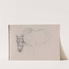 Horse (Between 1867 and 1872) by Adolph Tidemand