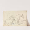 Horse and Pony by James Howe