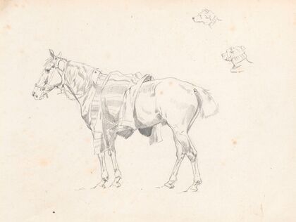 Horse covered with saddlecloth, from the side and sketches of dog’s head (1881)