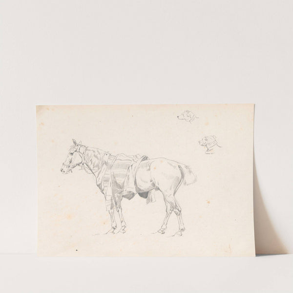 Horse covered with saddlecloth, from the side and sketches of dog’s head (1881) by Jozef Brandt