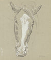 Horse head