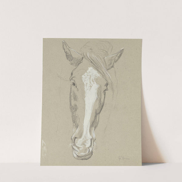Horse head by Hans Thoma