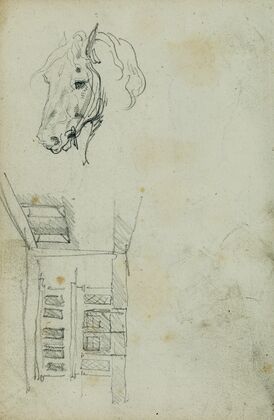 Horse head, view of a courtyard