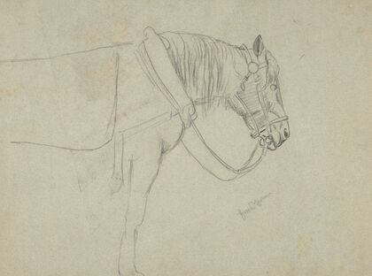 Horse in a Harness (1860 - 1900)