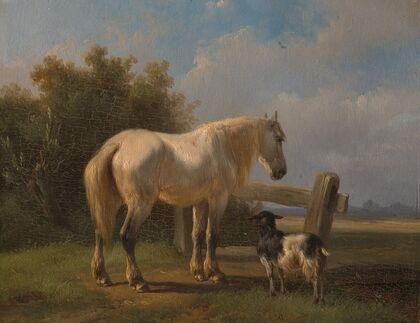 Horse in the meadow