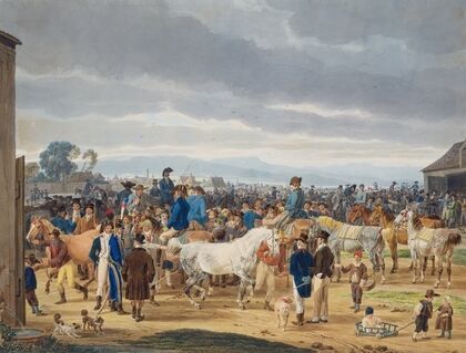 Horse market