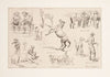 Horse raising in the northwest (1889)
