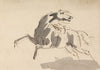 Horse running towards left…