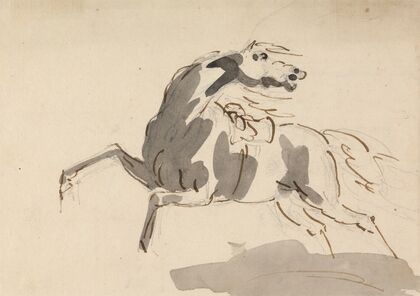 Horse running towards left…