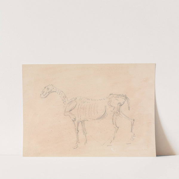 Horse Skeleton by Sawrey Gilpin
