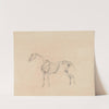 Horse Skeleton. by Sawrey Gilpin