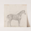 Horse Standing, Side View Facing Right by Sawrey Gilpin