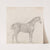 Horse Standing, Side View Facing Right by Sawrey Gilpin