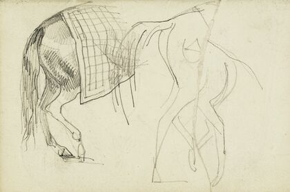 Horse Studies