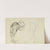 Horse Studies by Théodore Géricault