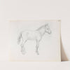 Horse study (between 1865 and 1872) by Adolph Tidemand
