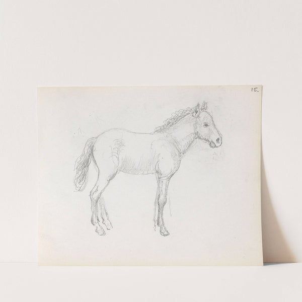 Horse study (between 1865 and 1872) by Adolph Tidemand