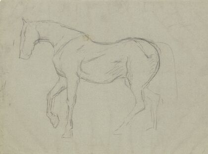 Horse study