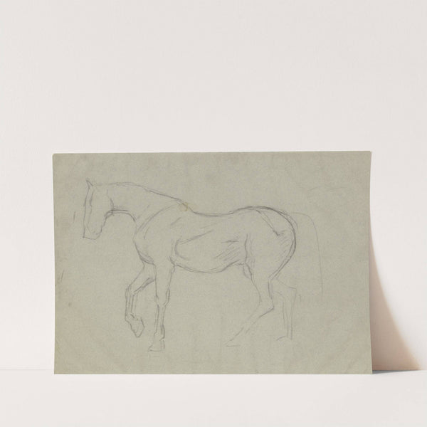 Horse study by Hans Thoma