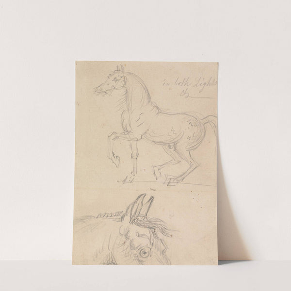 Horse Walking to Left by James Seymour