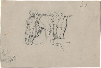 Horse with harnes
