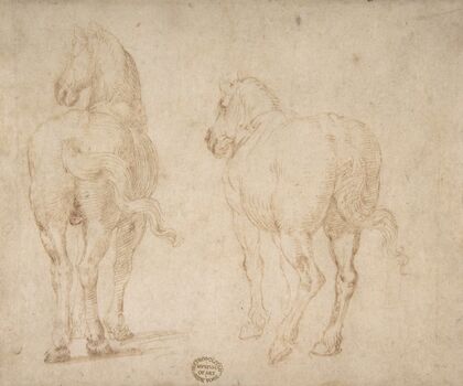 Horses
