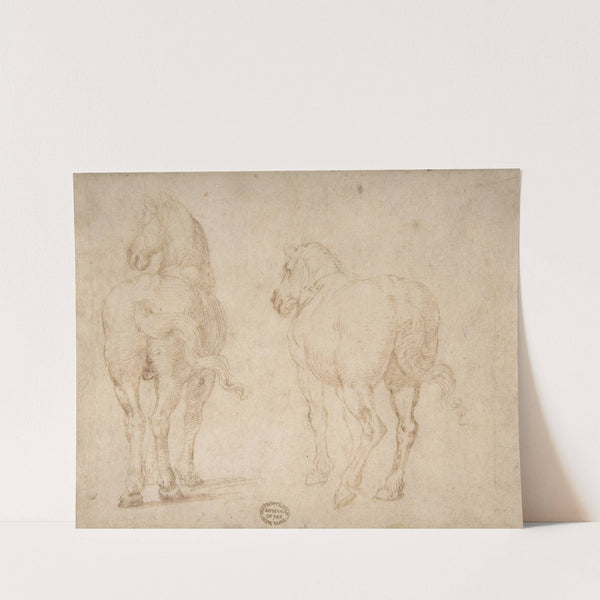 Horses by Parmigianino
