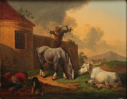 Horses