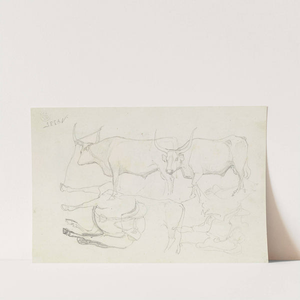 Horses and cattle by August Lucas