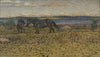 Horses at the Beach